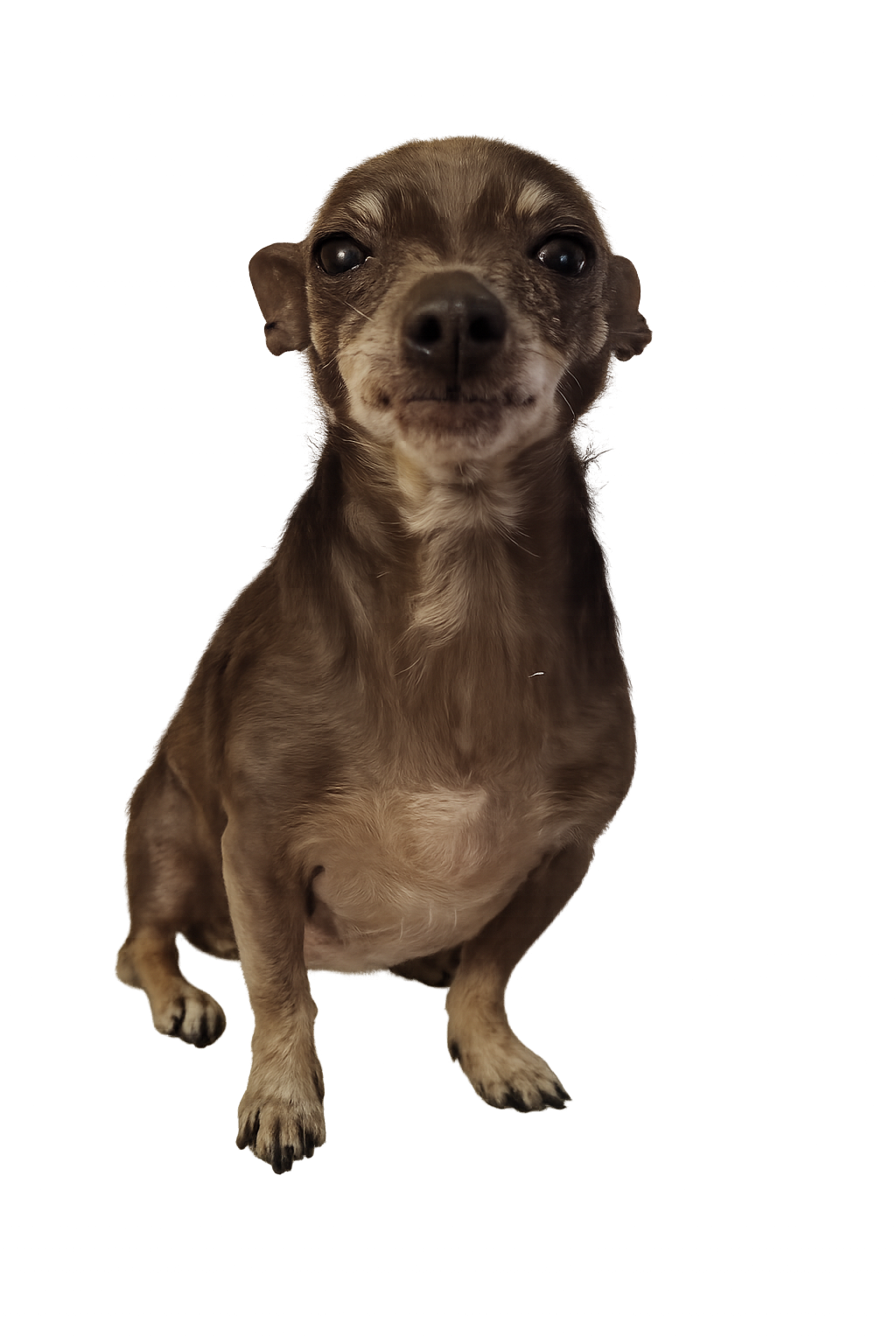 Doddy from the Rescue Nexus Founding Pack